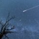 The Orionid meteor shower lights up the night sky with multiple shooting stars seen above a silhouetted tree.