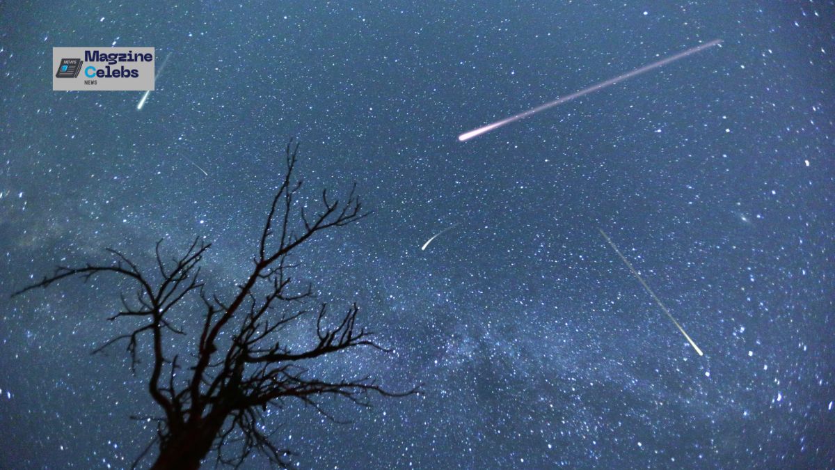 The Orionid meteor shower lights up the night sky with multiple shooting stars seen above a silhouetted tree.